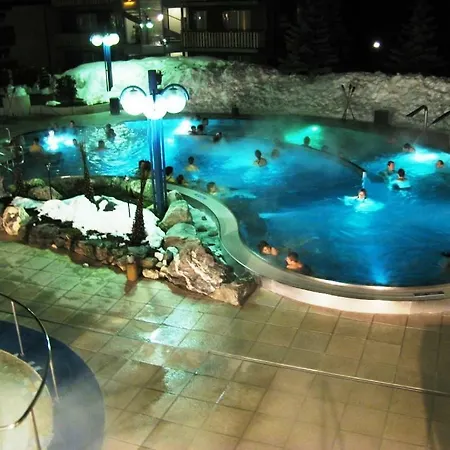 Floralp Lejlighed Leukerbad